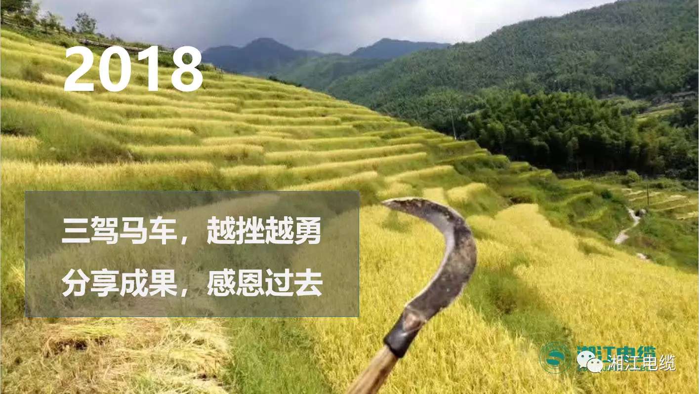 湘江電纜2019經(jīng)銷商會(huì)議暨迎新年會(huì)盛大舉行