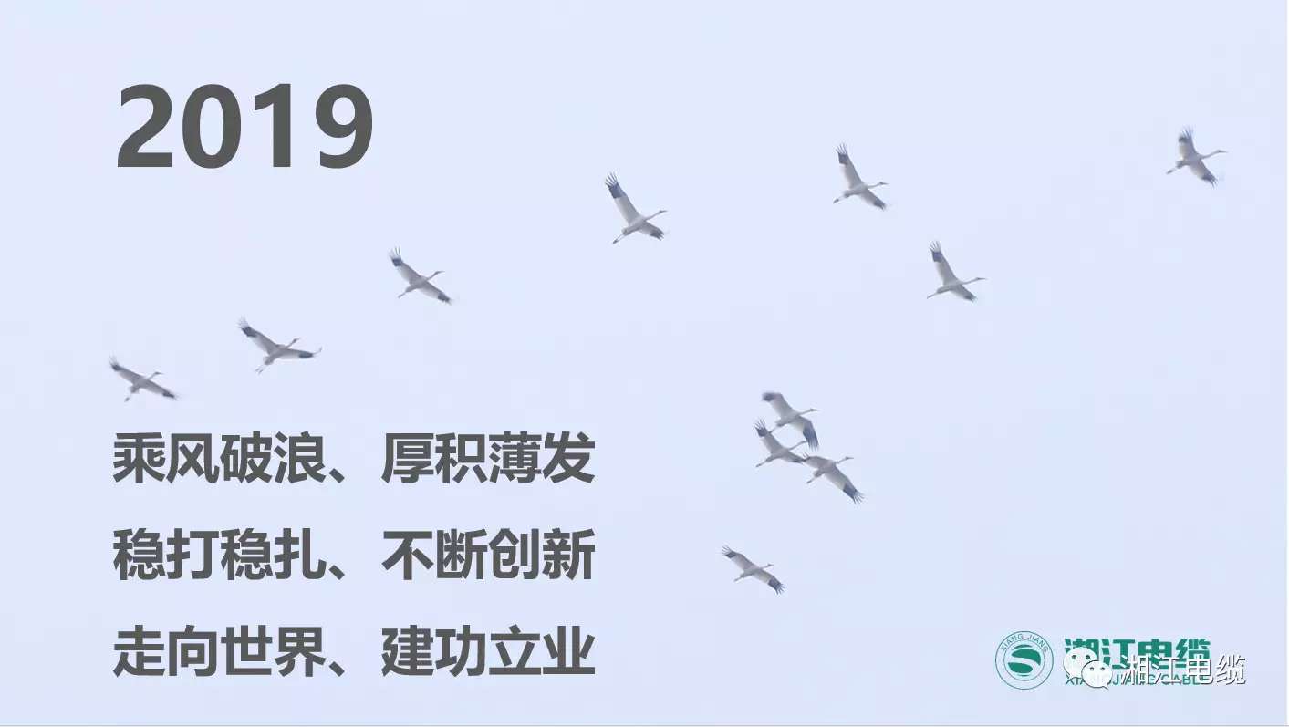 湘江電纜2019經(jīng)銷商會(huì)議暨迎新年會(huì)盛大舉行